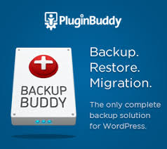 Backups BackupBuddy plugin 9.1 Crack Free 2025