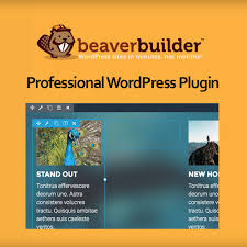 Beaver Builder Pro v2.9 Plugin Crack Free 2025