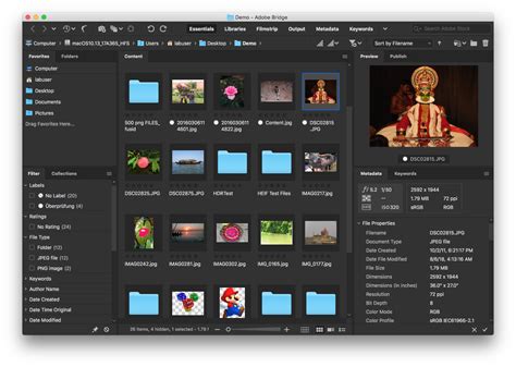 Adobe Bridge Full Version Free Download 2025
