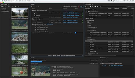 Adobe Media Encoder Crack Download for Windows [2025]