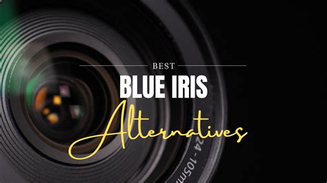 Blue Iris Crack Download for Windows [2025]