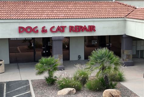 CAT Video Repair 2025 Full Crack + Serial Key