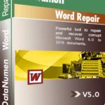DataNumen Word Repair Free License Key & Crack [2025 Updated]