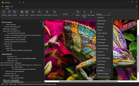 File Viewer Plus Full Version Free Download 2025