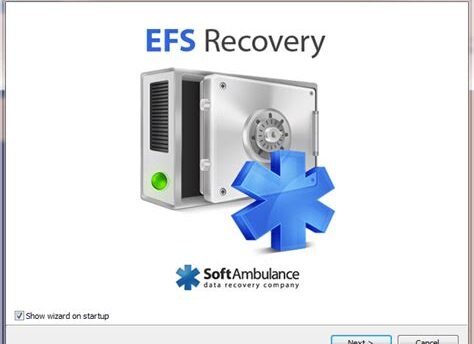 Get Diskinternals EFS Recovery Crack + Keygen Free 2025