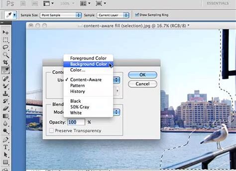 How to Download Adobe Photoshop CS5 Crack Free 2025
