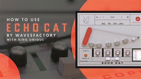 How to Download Wavesfactory Echo Cat Crack Free 2025