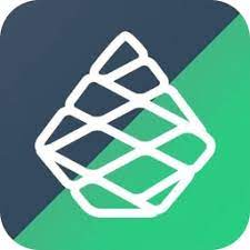 Pinegrow Web Editor Pro 8 Crack