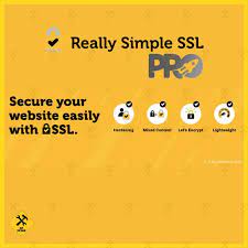 Really Simple SSL Pro 9 Plugin Crack