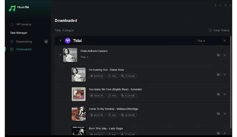 MusicFab TIDAL Converter Free License Key & Crack [2025 Updated]
