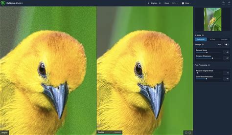 Download Topaz DeNoise AI Crack + License Key 2025