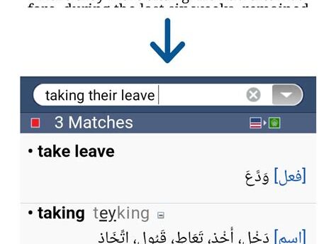 VerbAce Pro English Arabic Dictionary Crack Download for Windows [2025]