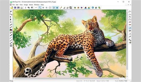Download WinTopo Pro Crack + License Key 2025