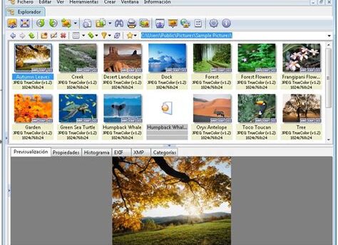 Download XnView Complete Crack + License Key 2025