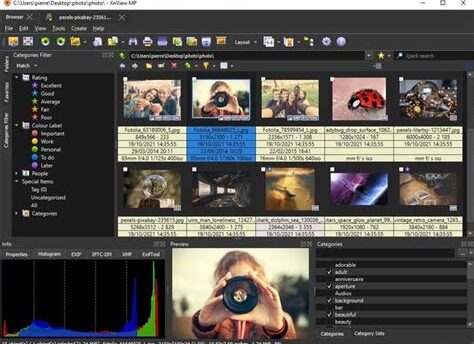 XnViewMP Crack Download for Windows [2025]