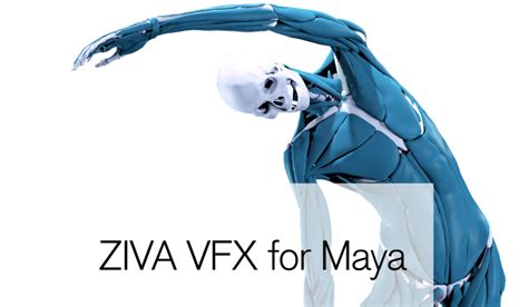 Ziva Dynamics Ziva VFX for Maya 2025 Full Crack + Serial Key